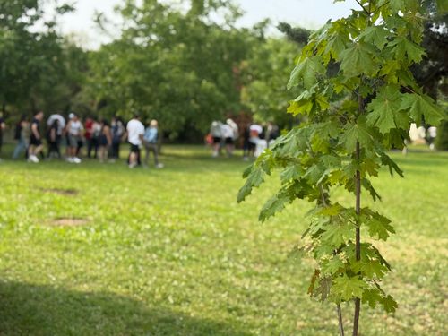 Környezetvédelmi Napot tartottunk